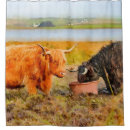 Search for highland cow shower curtains Scottish