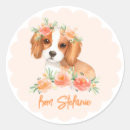 Search for king stickers King charles spaniel