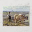 Search for oxen postcards Plough