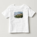 Search for fortification tshirts River