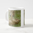 Search for lion cub mugs Predator