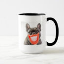 Search for frenchies photography Dogs