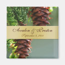 Search for pinecones magnets Winter