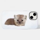 Search for pine marten Cute baby animal
