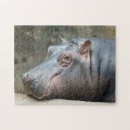 Search for hippopotamus puzzles Cute