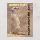Search for dirt vertical postcards Photography