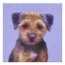 Search for border terriers posters Cute