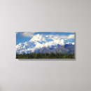 Search for mckinley canvas prints Denali national park