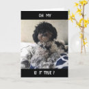 Search for grandmas 70th birthday cards Funny