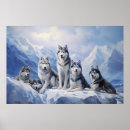 Search for malamute dog posters Cute