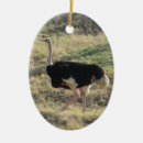 Search for ostrich christmas tree decorations Bird