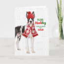 Search for great dane christmas cards Pets