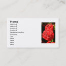 Search for bush business cards Flower