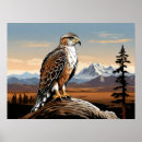 Search for hawk paintings posters Animal