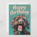 Search for griffon cards Wirehaired pointing griffon