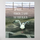 Search for funny fitness quotes posters Exercise