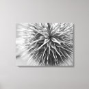 Search for black and white photography canvas prints Nature