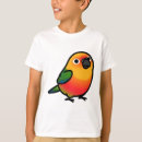 Search for jenday Jenday conure