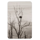 Search for the wait magnets Eagle