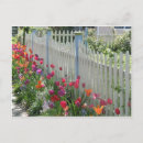 Search for picket postcards Garden