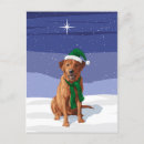 Search for labrador retriever dog postcards Pets