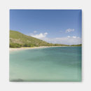 Search for kitt magnets Sea