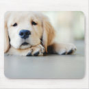 Search for lying down mouse mats Cute