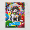 Search for grumpy cat invitations Humour