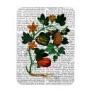 Search for squash magnets Vine