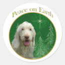 Search for italiano stickers Spinone