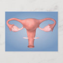 Search for organism postcards Digitally generated image