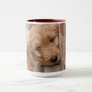 Search for goldendoodle puppy mugs Mix breed