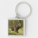 Search for wild animal key rings Bear