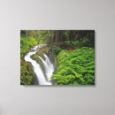 Search for environment canvas prints Foliage