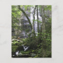 Search for hikers postcards Forest