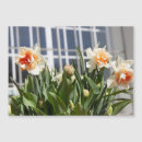 Search for note card posters Photography