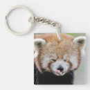 Search for cute red panda key rings Kawaii