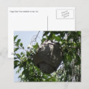 Search for hive postcards Nature