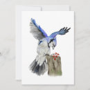 Search for blue jay invitations Watercolor