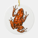 Search for dart christmas tree decorations Nature