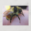 Search for pollen postcards Garden