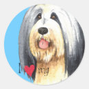 Search for bearded collie stickers Dog