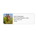 Search for africa return address labels Giraffe