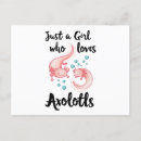 Search for kawaii girl postcards Axolotl