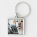 Search for mode of transport key rings Horizontal