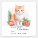 Search for tabby square stickers Watercolor