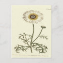 Search for tricolor postcards Floral
