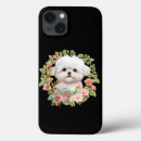 Search for adorable puppy iphone cases Maltese