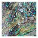 Search for abalone art Beautiful