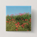 Search for poppy badges Red